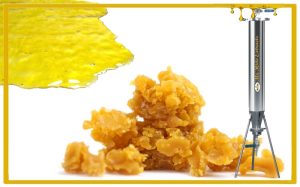 BHO Ekstraktion