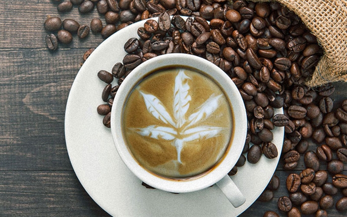 Cannabis & Kaffe
