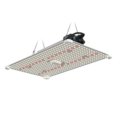 LUMii - Black Blade LED 200W